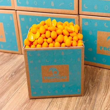 Kumquat 5 lbs